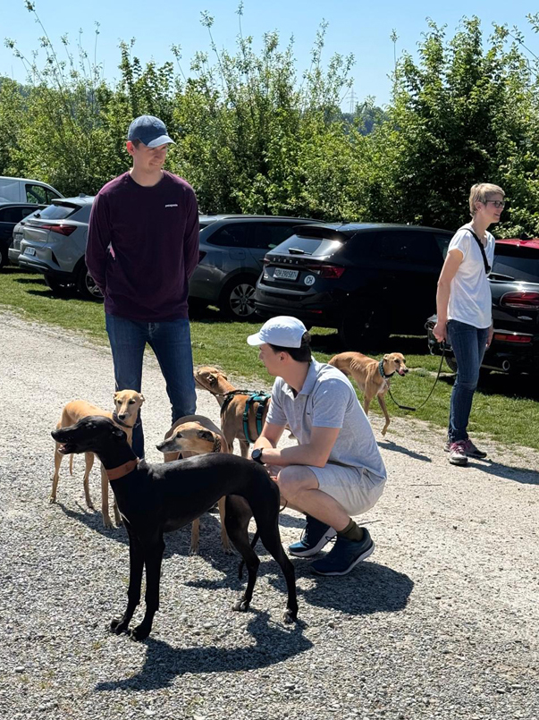 Tag des Hundes 2025