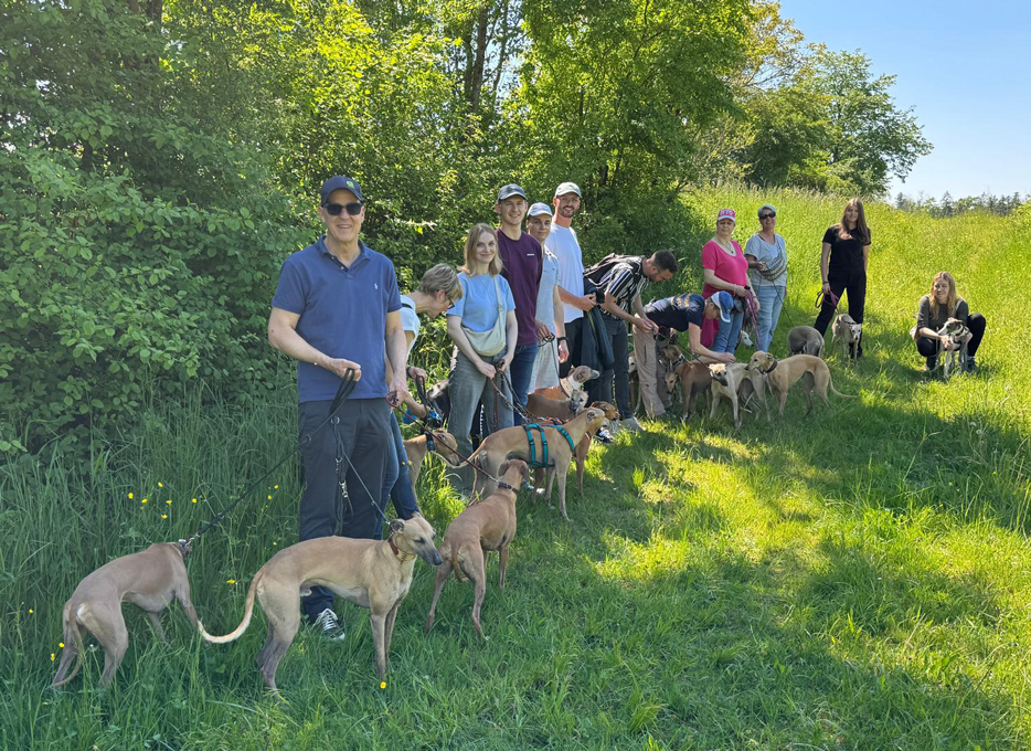 Tag des Hundes 2025