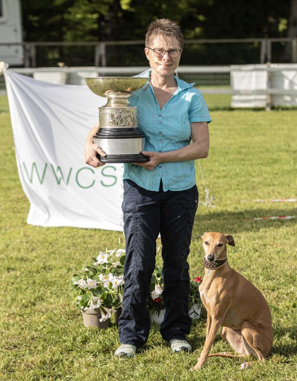 WHIPPET AUSSTELLUNG WWCS CM 09.05.2024