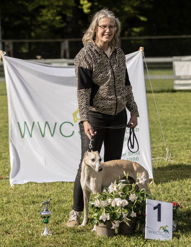 WHIPPET AUSSTELLUNG WWCS CM 09.05.2024