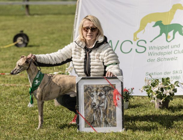 WHIPPET AUSSTELLUNG WWCS CM 09.05.2024