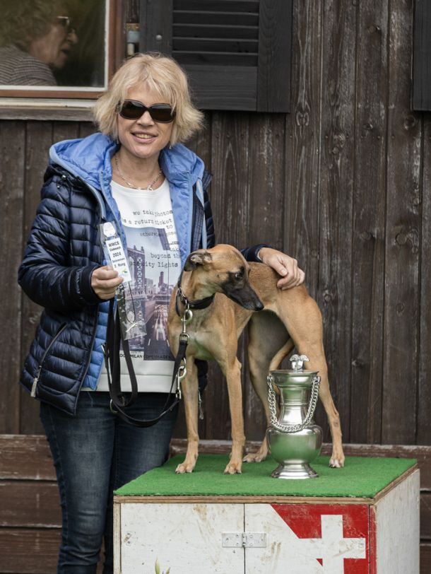 CM 2024 Ausstellung Whippet