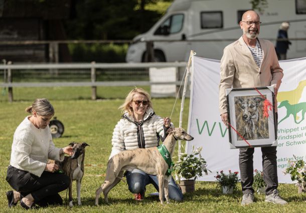 WHIPPET AUSSTELLUNG WWCS CM 09.05.2024